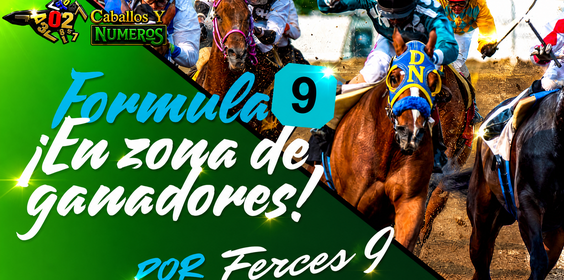 Banner_formula9_pequeno